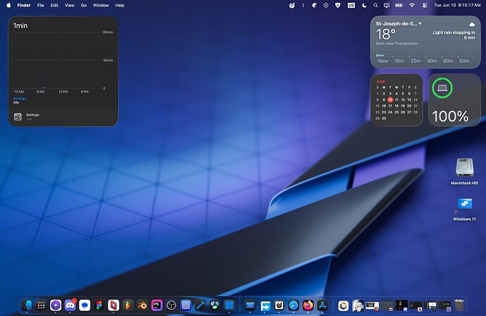 Screenshot 2025-06-10 at 9.15.17 AM