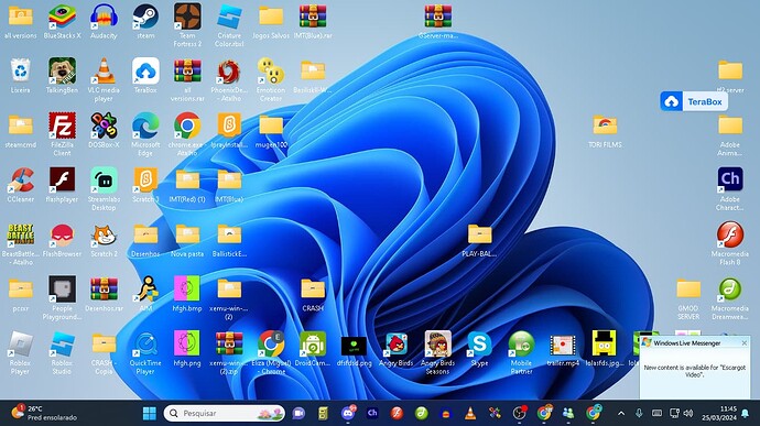 Captura de tela 2024-03-25 114543