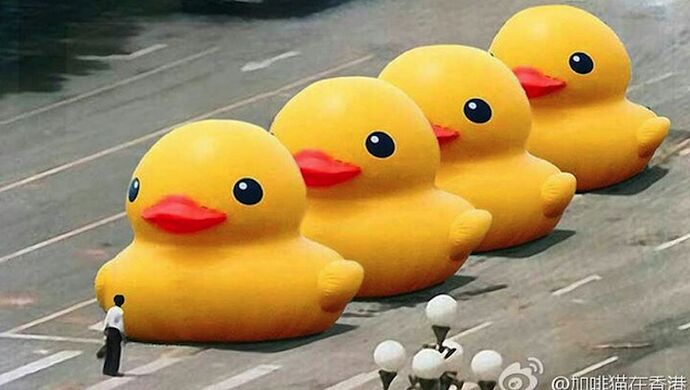 tiananmen-ducks