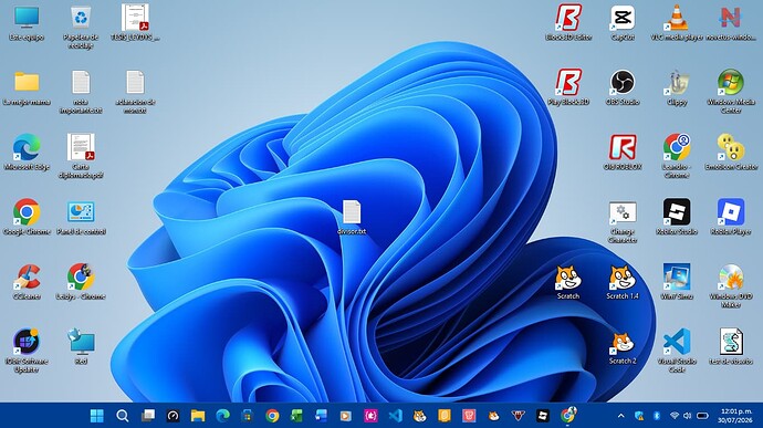 Captura de pantalla 2026-07-30 120122