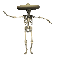 mexicanSkeleton