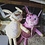 Benjamin_0974