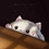 Dami_Paredes Dami_Paredes