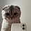 NebuCat_YT