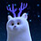 Tuan_zi